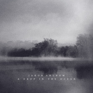 欧美激情高清免费不卡
