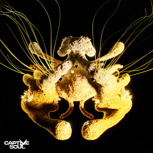 欧美激情高清免费不卡
