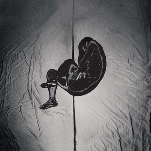 欧美激情高清免费不卡
